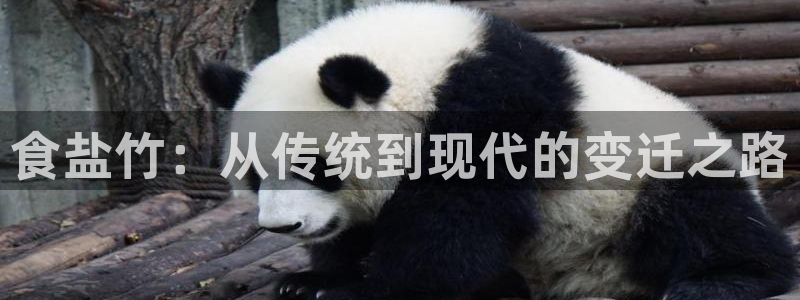 威九国际66m66大陆