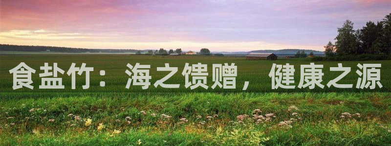 威九国际网站怎么样知乎