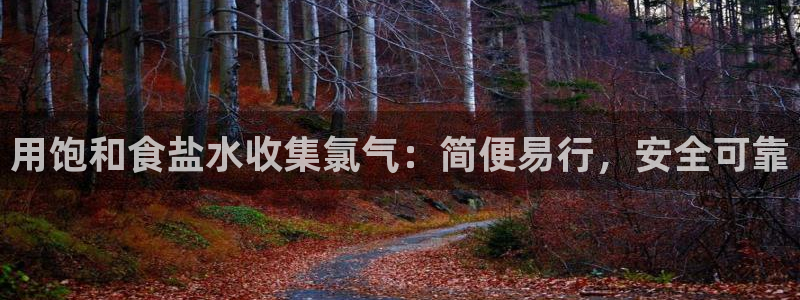 威九国际官网登录入口网站