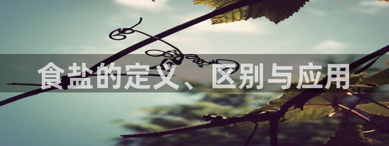 威九国际v96bet官网版