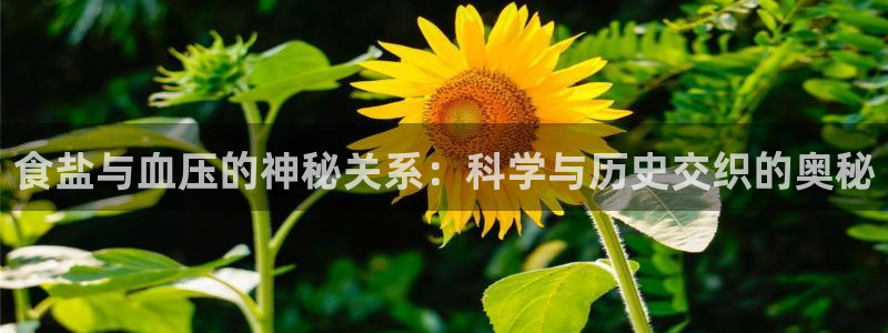 威九国际可以提现吗是真的吗