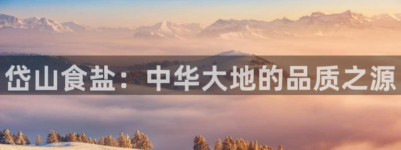 威九国际官网在线进入网站查询