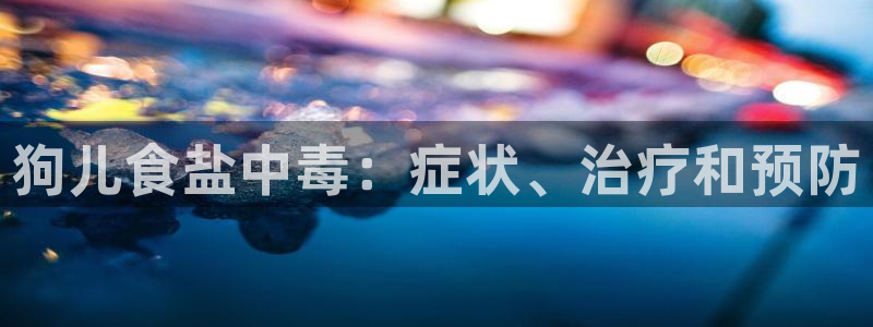 威九国际可以提现吗