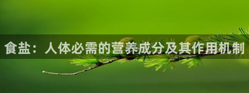 威九国际空降服务女演员名字