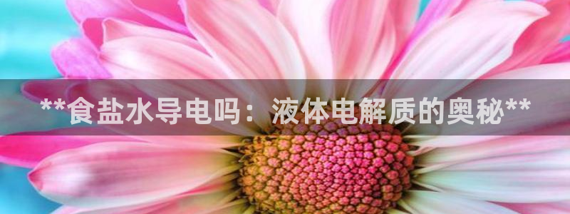 威九国际合作伙伴有哪些