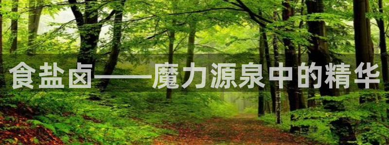 威九国际78mb官网版