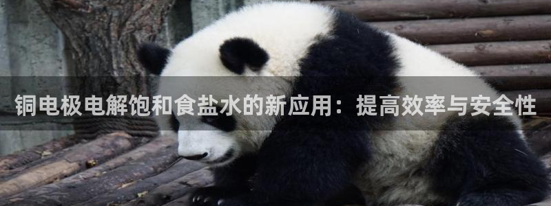 威九国际网站客服电话多少号