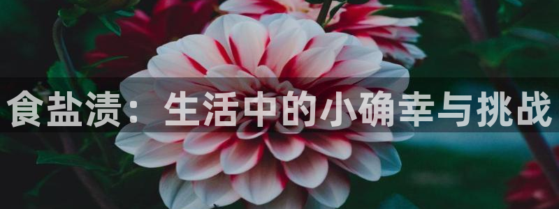 威九国际app哪个地方