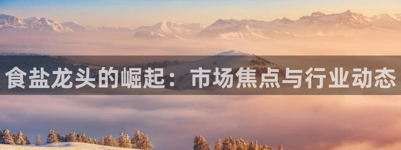 威九国际网站客服电话多少