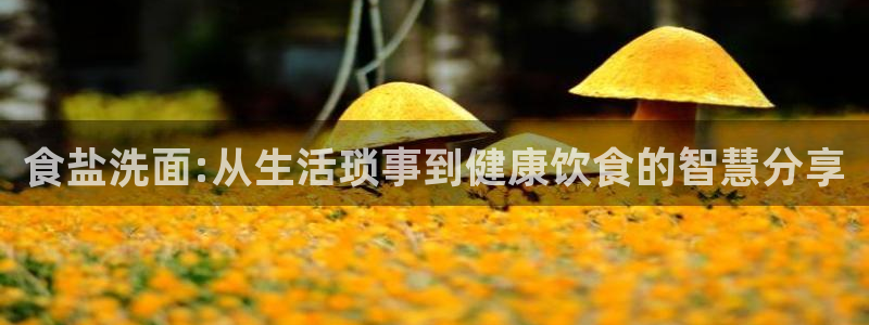 威九国际网站为什么不禁止