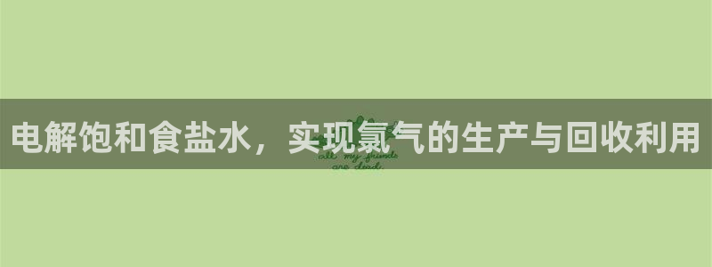 保定威九网络科技有限公司是干嘛的